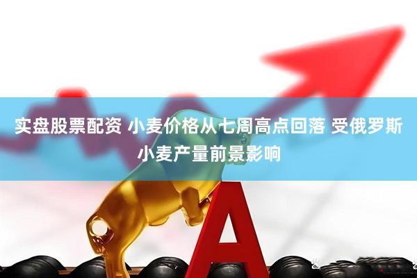 实盘股票配资 小麦价格从七周高点回落 受俄罗斯小麦产量前景影响