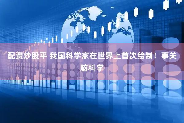 配资炒股平 我国科学家在世界上首次绘制！事关脑科学