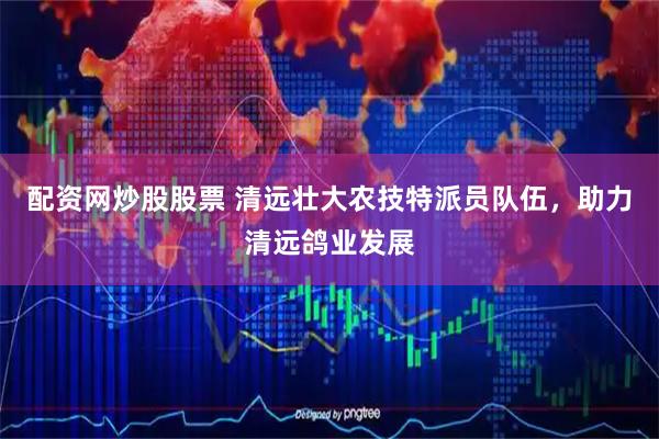 配资网炒股股票 清远壮大农技特派员队伍，助力清远鸽业发展